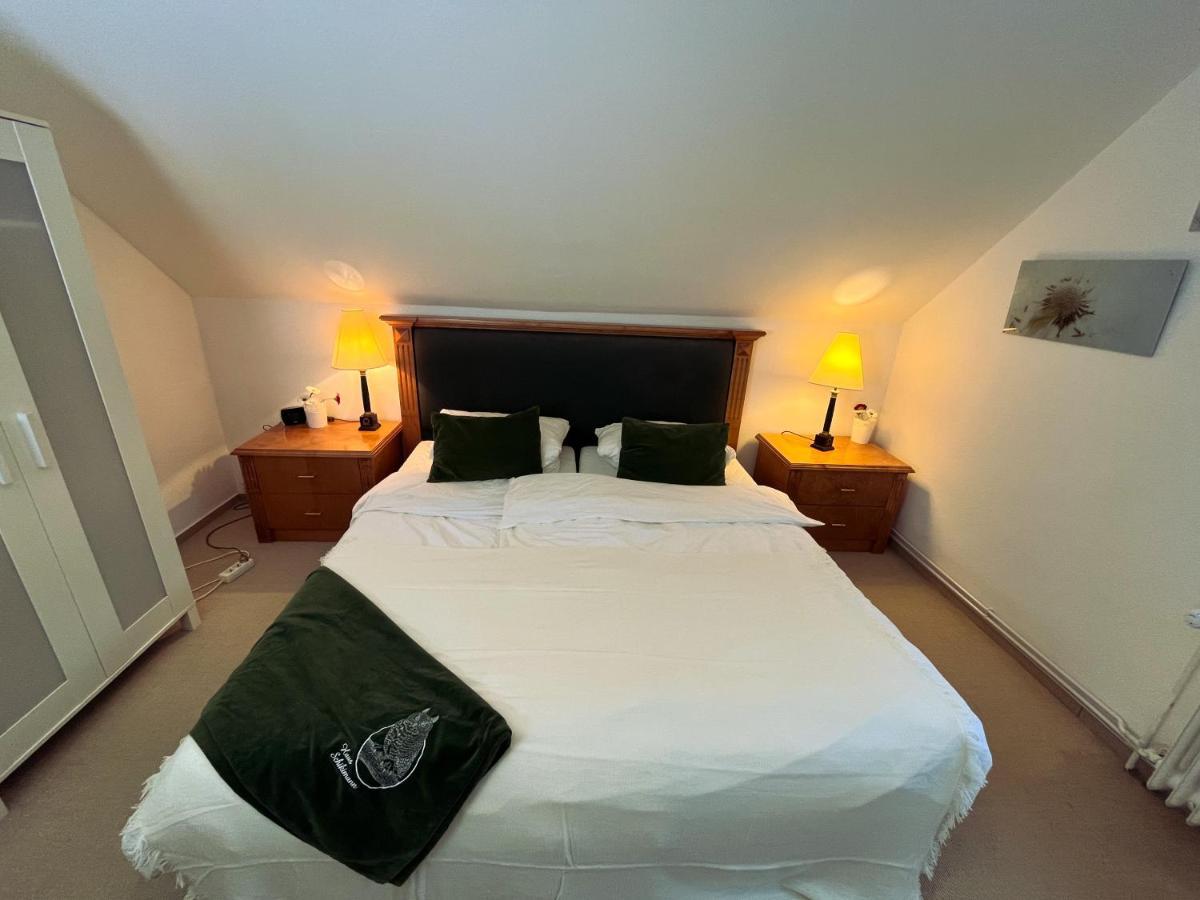 Lofty - Eule * Braunlage